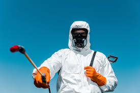 Outdoor Pest Control in Woodfin, NC